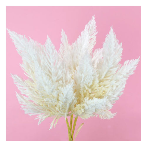 PAMPAS BOUQUET BQ097CRM