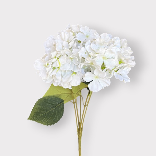 Hydrangea Bunch BQ168CRM