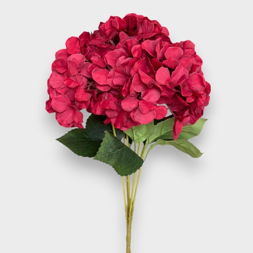 5H Hydrangea Bunch BQ223BUR