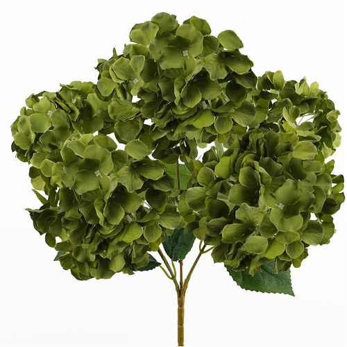 5H Hydrangea Bunch BQ223GRN
