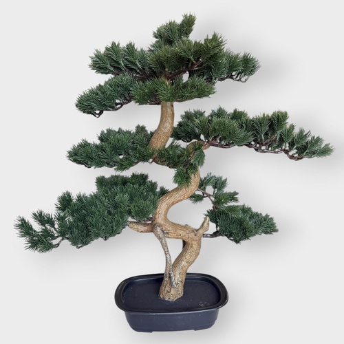 Bonsai Plant 68cm BS332GRN
