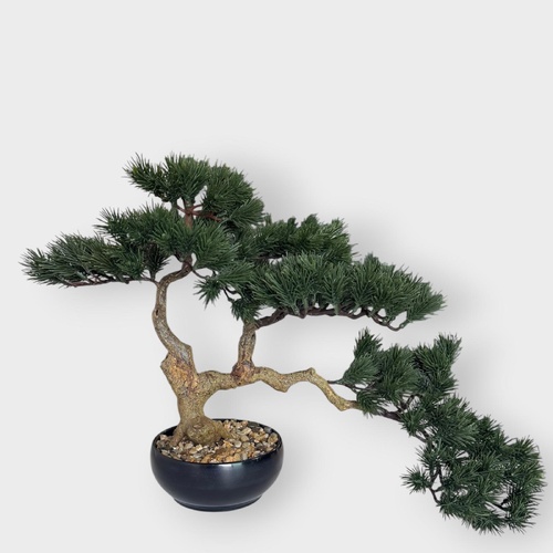 Bonsai Plant 42cm BS335GRN