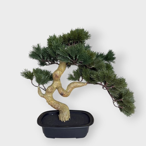 Bonsai Plant 40cm BS344GRN