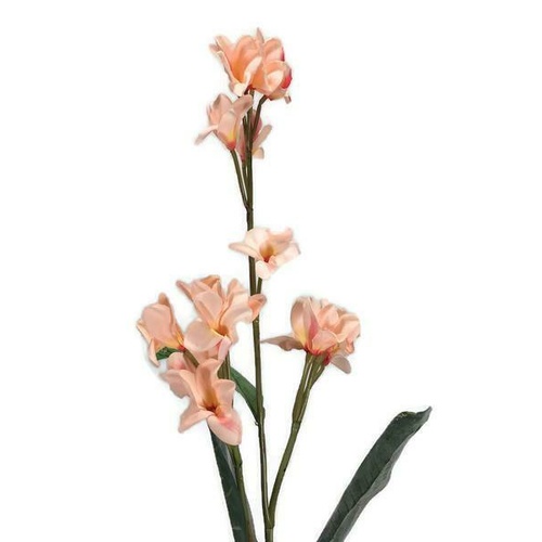 Frangipani Spray CC007-PCH