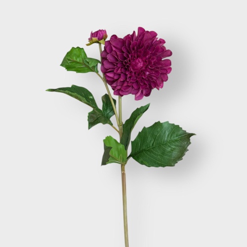 Dahlia Short stem D101PU