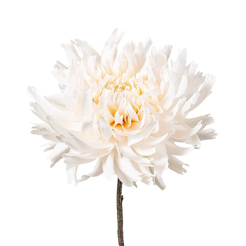 Dahlia Spray D258C
