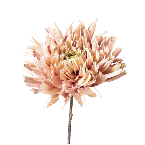 Dahlia Spray D258LP