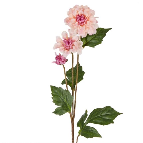 DAHLIA STEM D293MAU