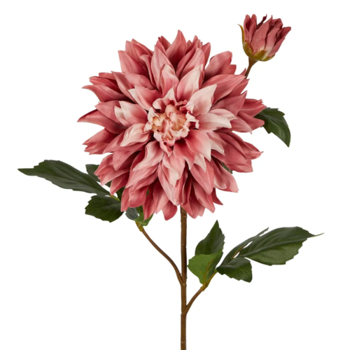 Large Dahlia D810P