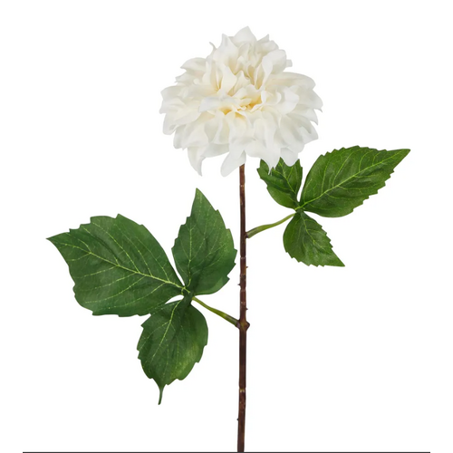 Small Dahlia D90CR