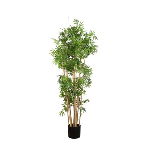 JAPANESE Bamboo DBJB52560