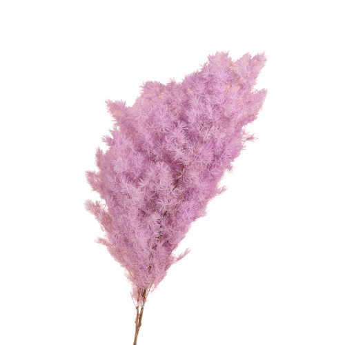 Ming Fern bundle DF002-LILAC