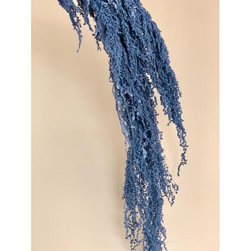 Preserved Blue Amaranthus DF011-DKBLUE