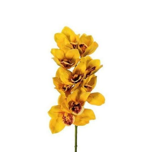 Cymbidium Orchid EE0002-YEL