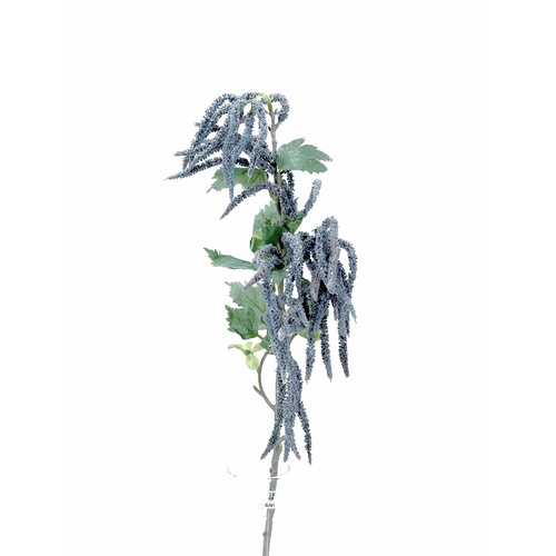 Mini Amaranthus Spray EE0009-BL