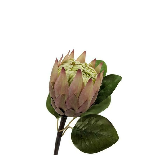 REAL TOUCH PROTEA EE0011-PCH