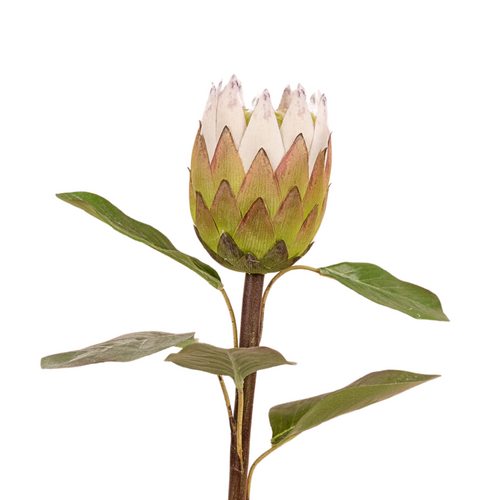 Real Touch Protea EE0011-WH