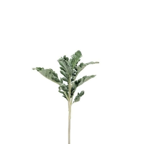  Small Dusty Miller Spray EE0013-GRN