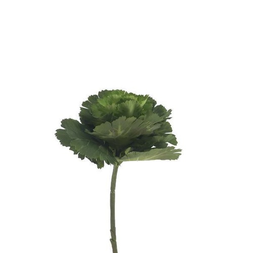 Kale Flower  EE0017-GR