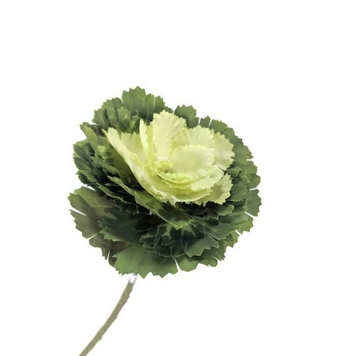 Kale Flower  EE0017-WH