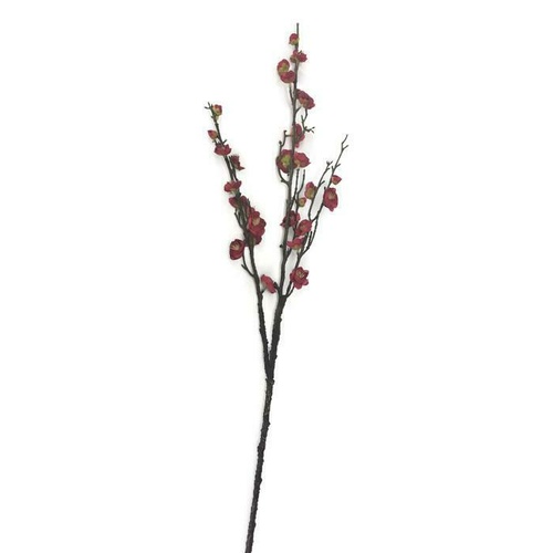 Plum Blossom EE0019-BUR