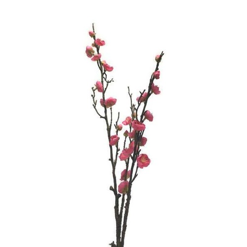 Plum Blossom EE0019-PNK