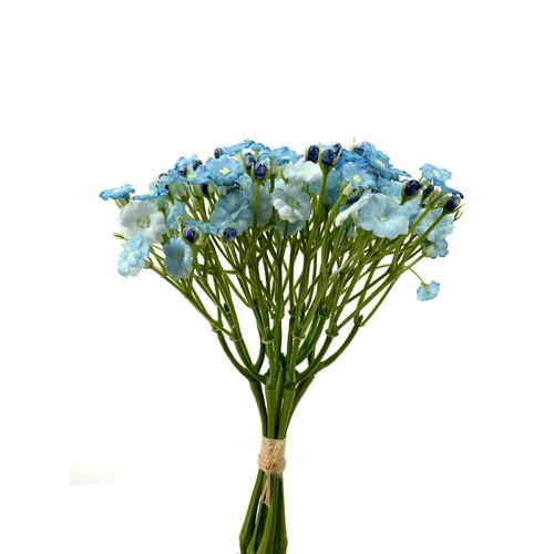 Gypsophila Bunch EE0021-BL