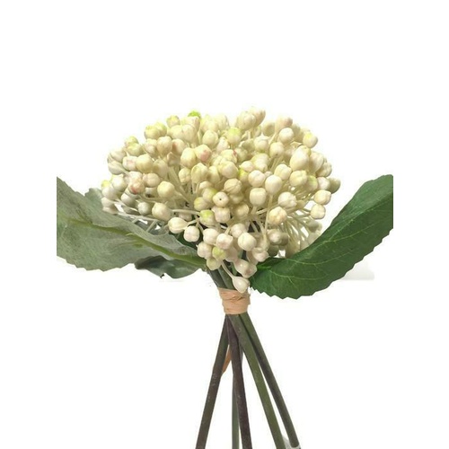 BERRY BUNCH EE0024-CR