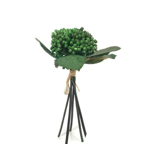 Berry Bunch EE0024-DGR