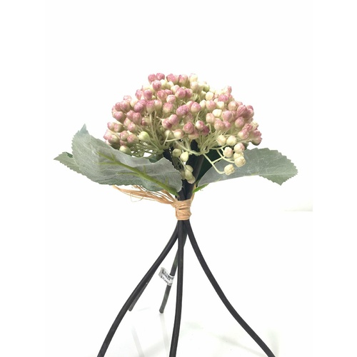 Berry Bunch EE0024-PNK
