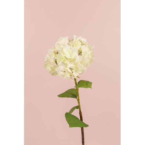 Large Hydrangea EE0038-CR