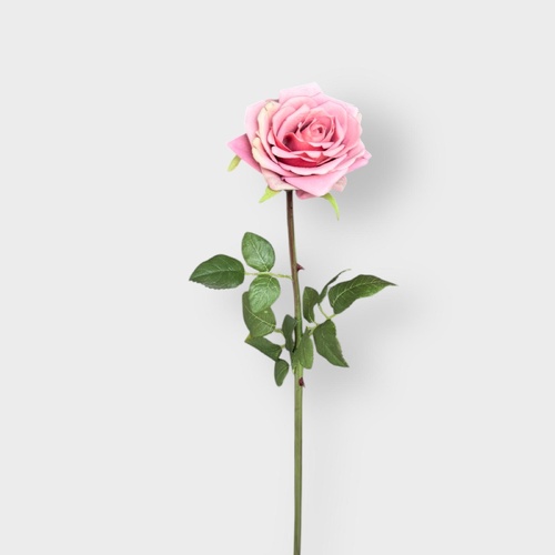 Single Rose EE0044-MAUV