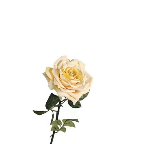 Single Rose EE0044-YEL