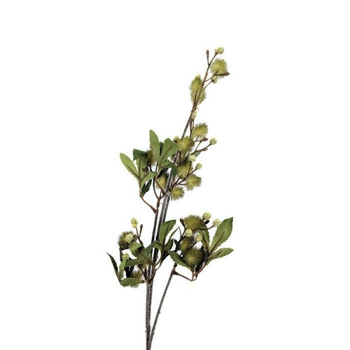 Mimosa Spray EE0045-GR