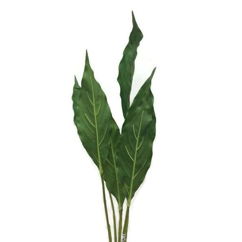 Anthurium leaves bunch EE0053-GR