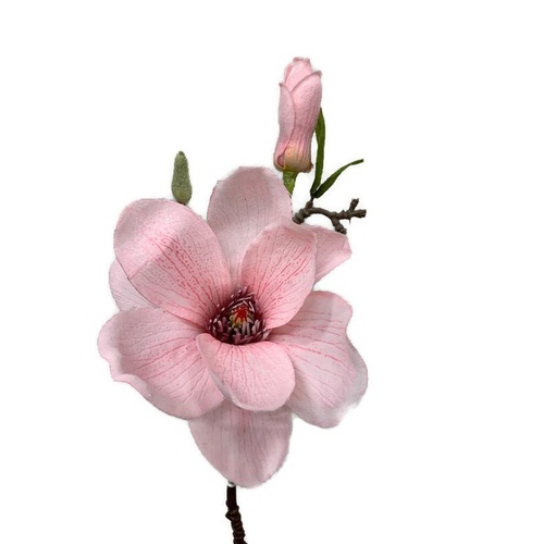 Magnolia Pink EE0069-PNK