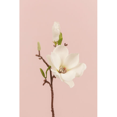 Magnolia Pick EE0069-WH