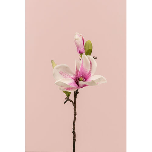 Magnolia Pick EE0069-WHPUR