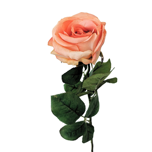 Real touch Large Ecuadorian Rose EE0078-LOR
