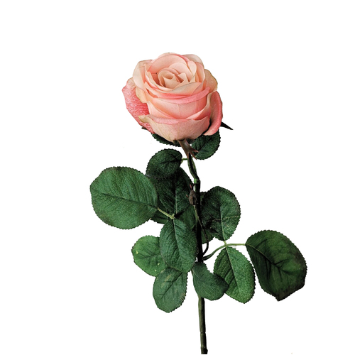Real touch Joanna Rose EE0078 light peach