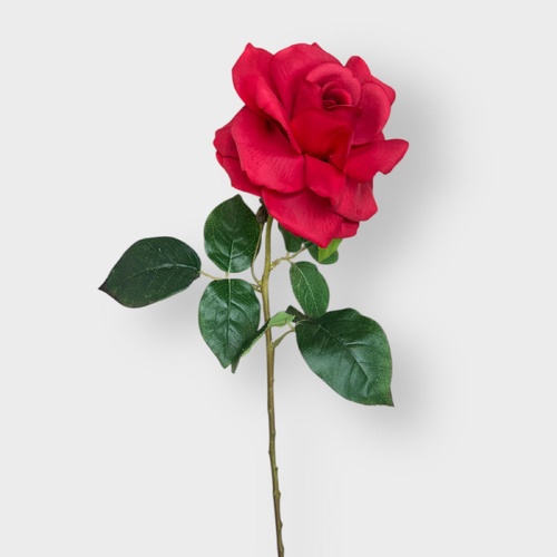 Real touch Joanna Rose EE0078-RD