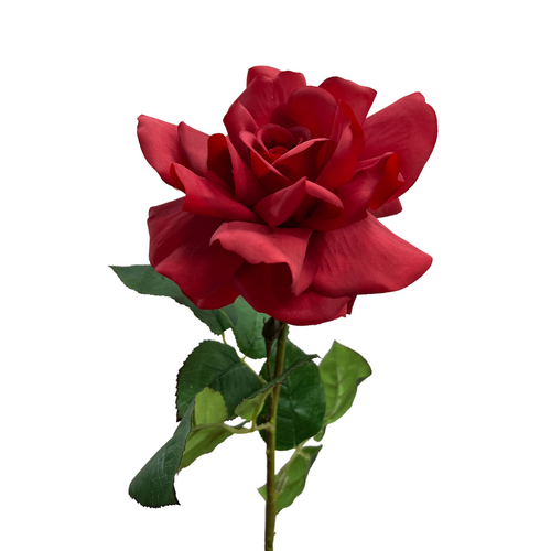 Real touch Joanna Rose EE0078-RD