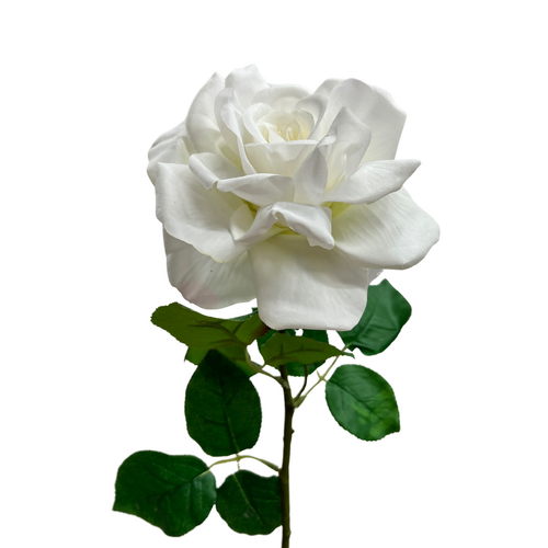 Real touch Joanna Rose EE0078-WH