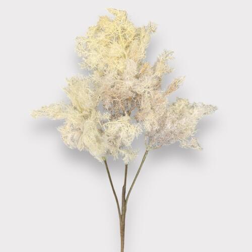 Smoke Bush EE0087-CRM