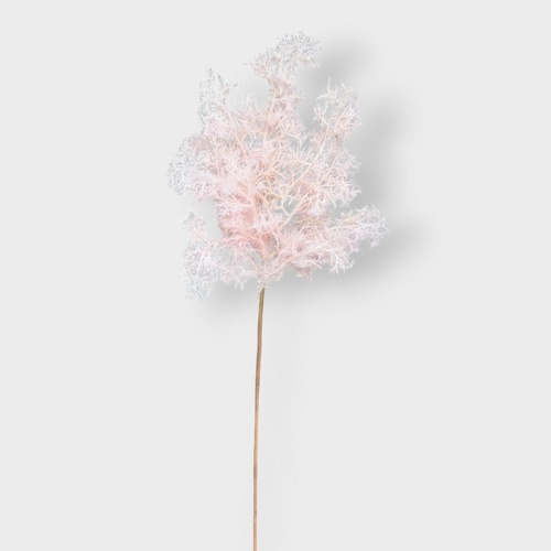 Small Smoked Bush EE0089-LPNK
