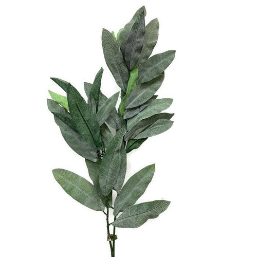 Silver Ficus leaves F-3019