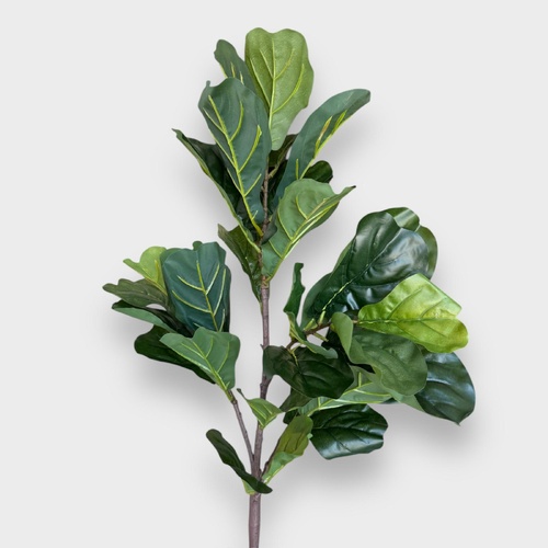 Fiddle Leaf Bush F184