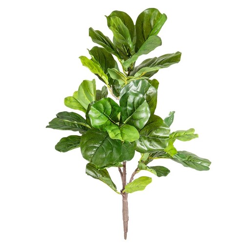 Fiddle Leaf Bush F184