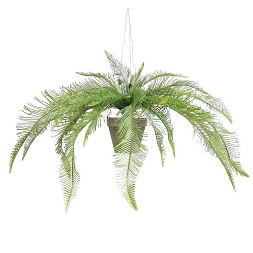 HANGING FERN IN POT F192GR