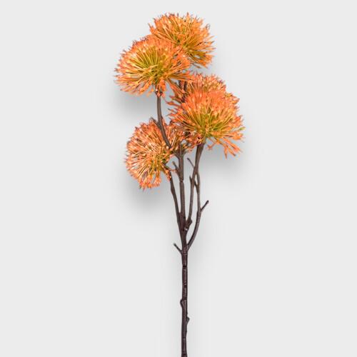 Mimosa spray FB0006-OR